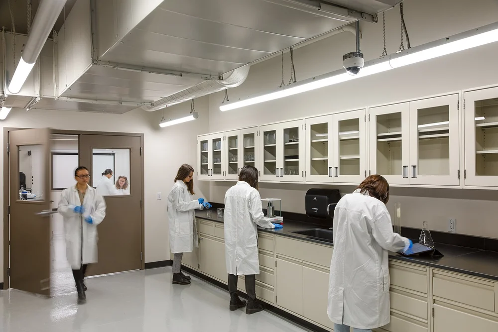 Schets Lab CHE Lab — Studio LP
