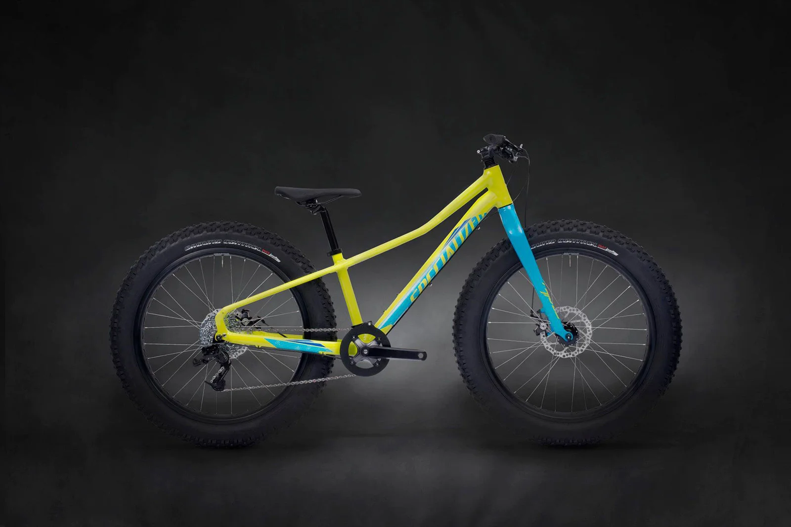 design_bikes_fatboy jr1.jpg