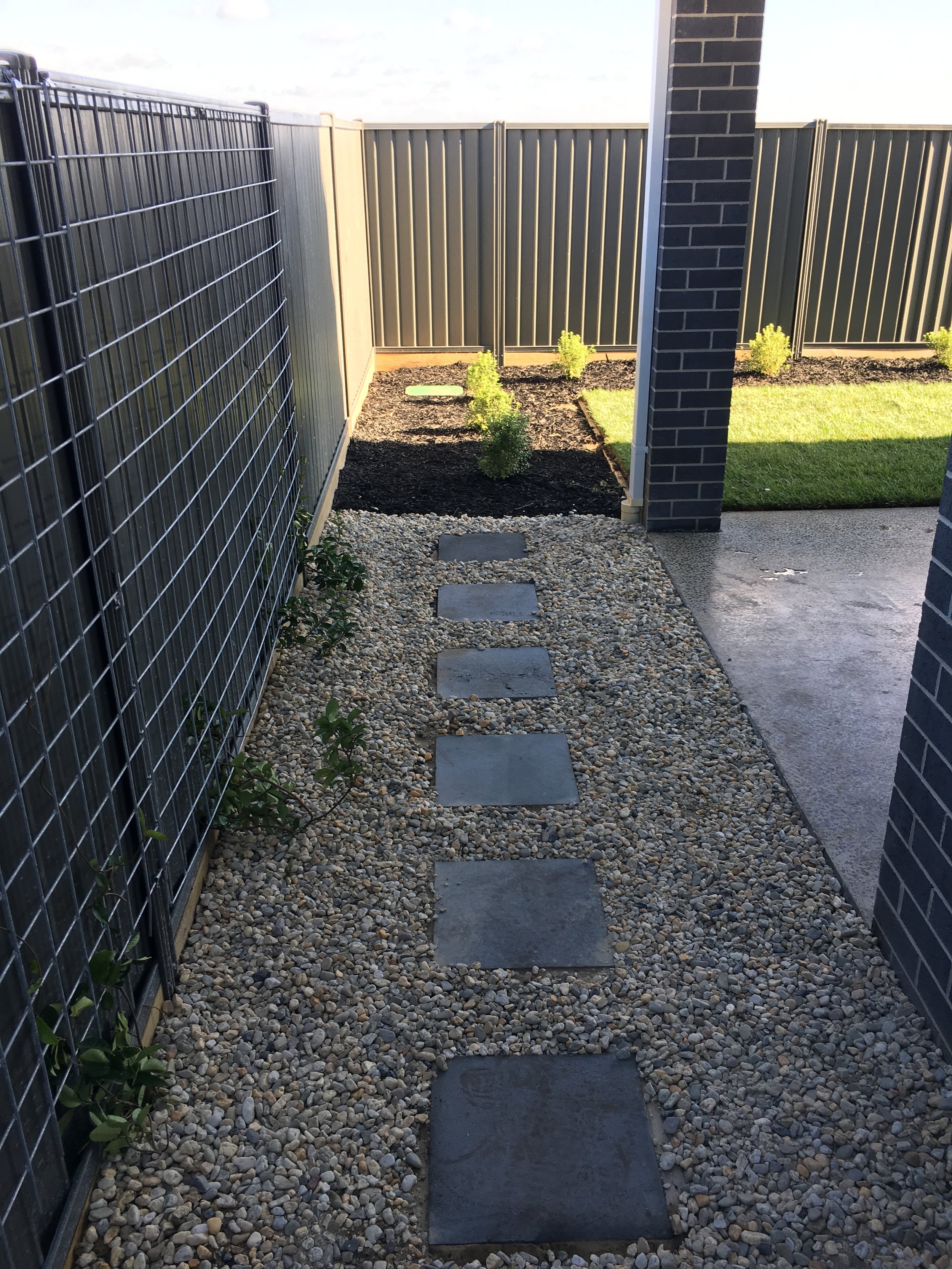 Pebble mulch with stepping pavers and wire for climbing plants on fence