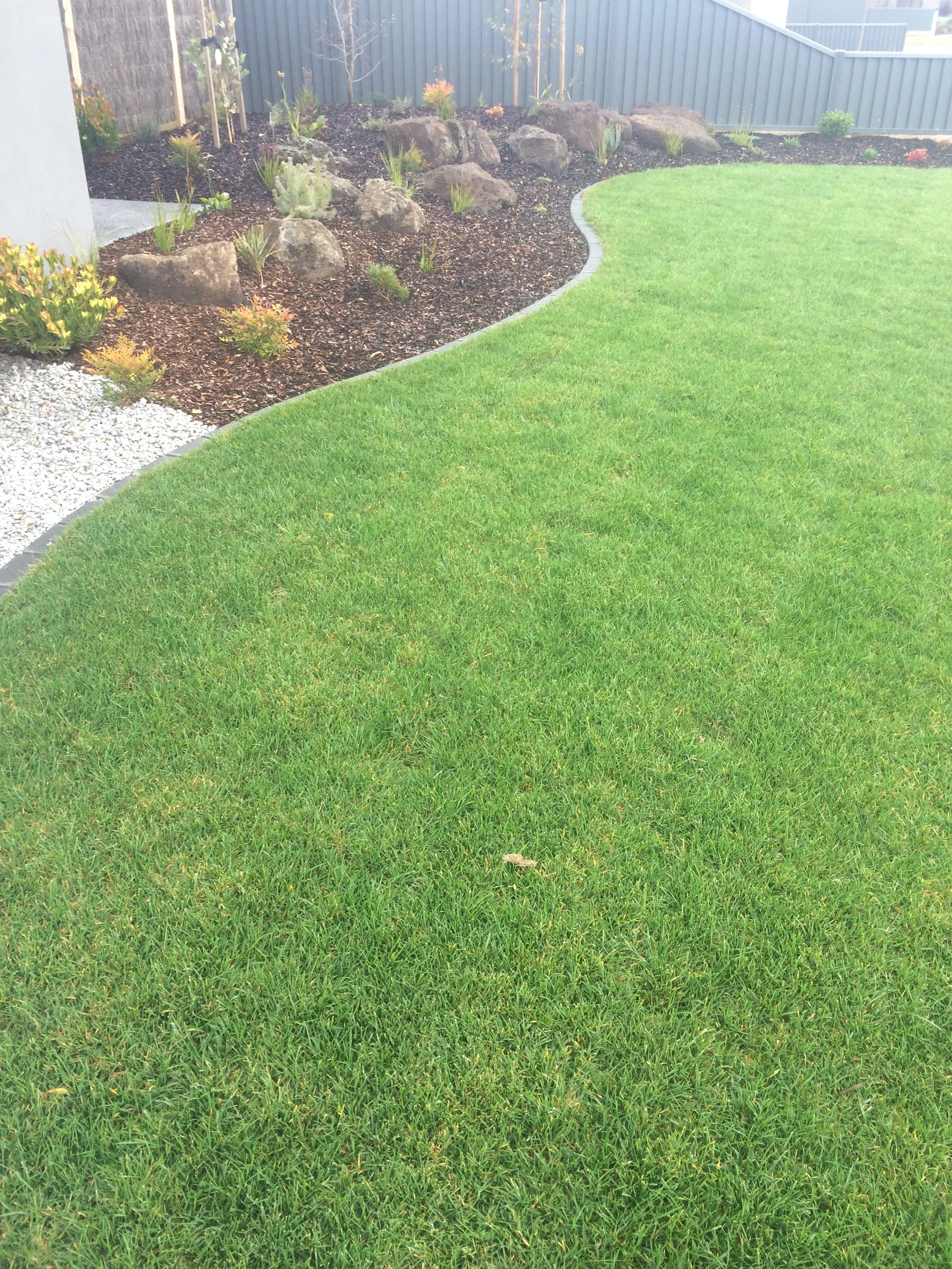 Garden and instant turf with bluestone edging.JPG