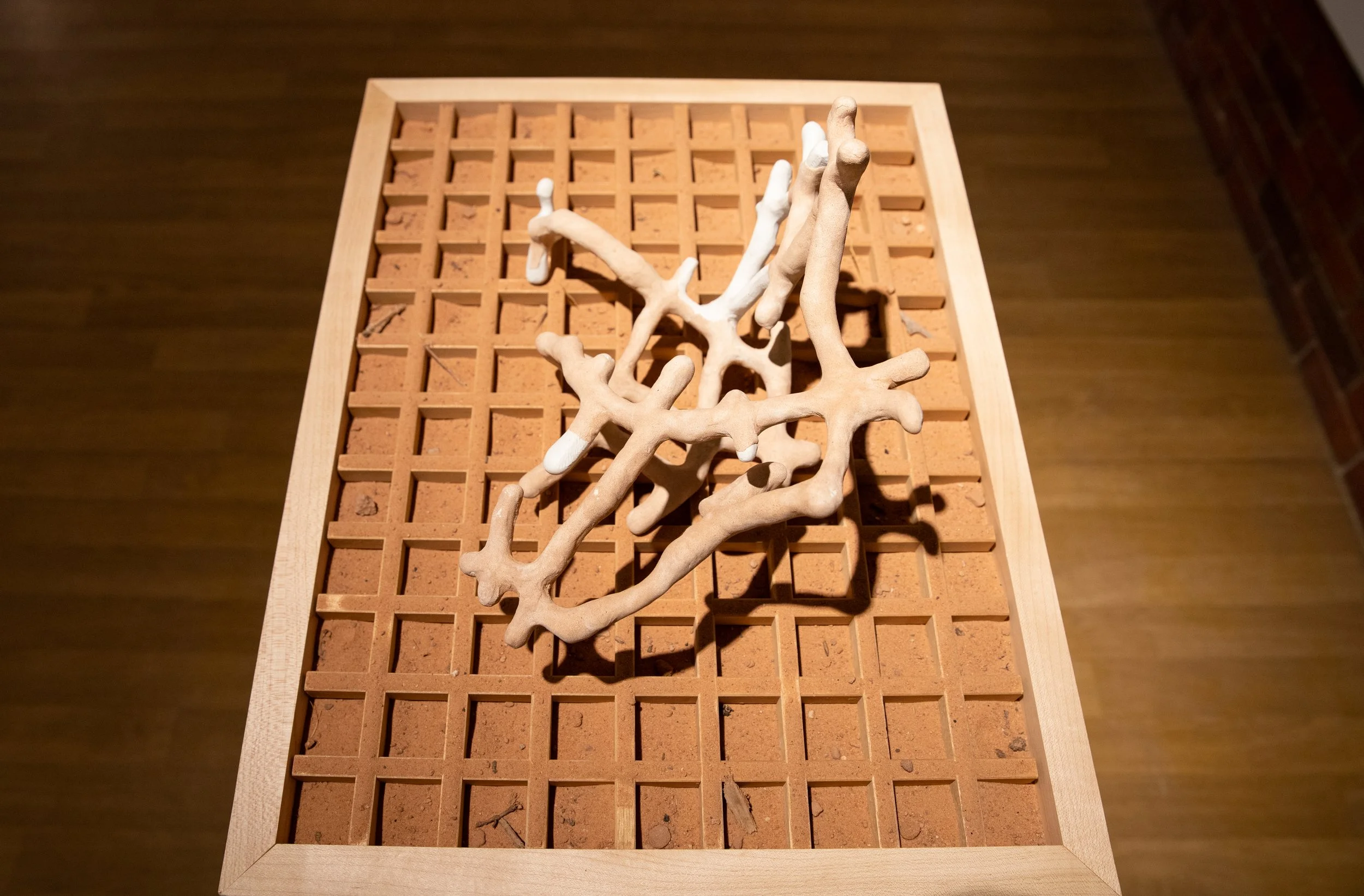 SOverbeck_PoeticsofSculpture-9.jpg