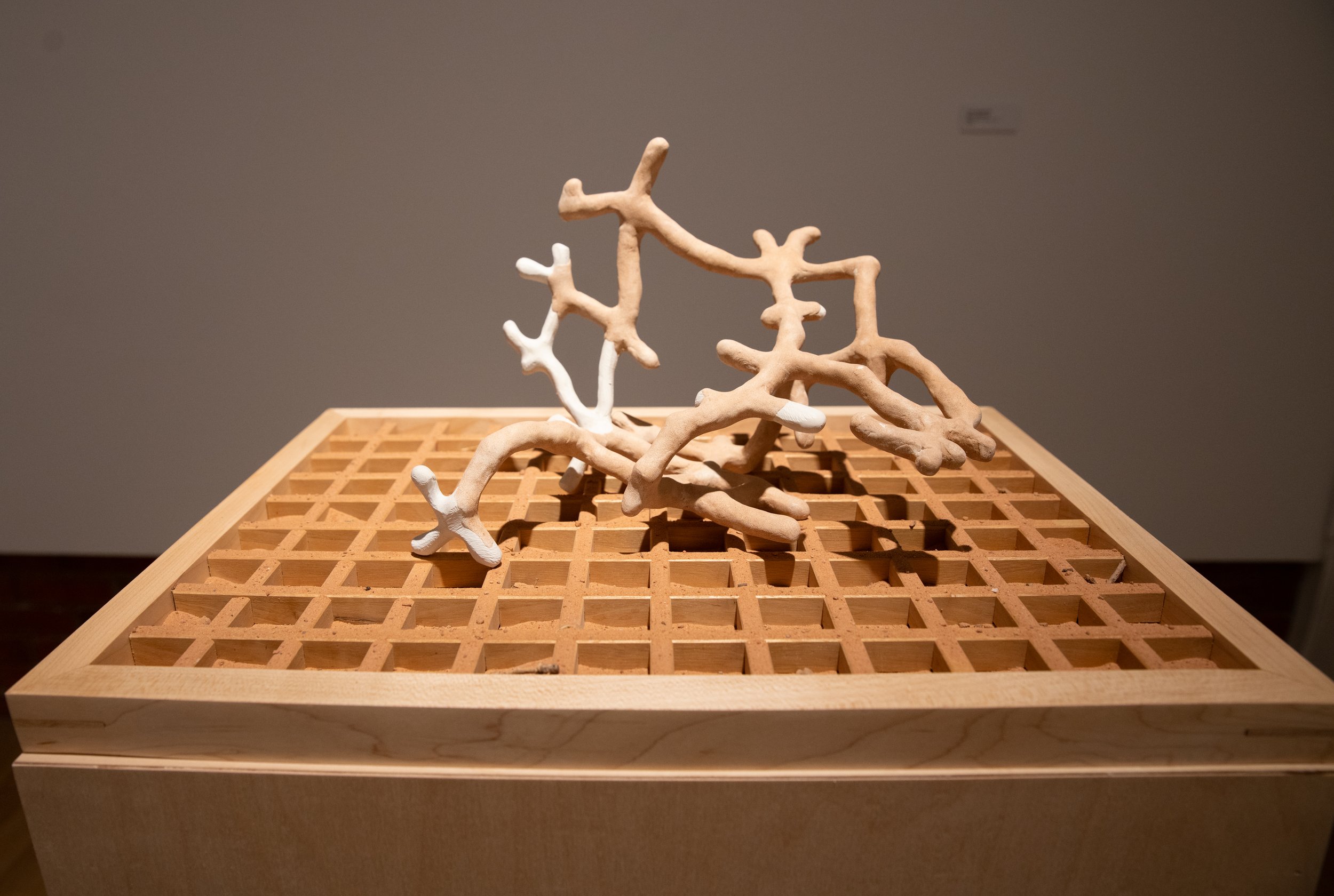SOverbeck_PoeticsofSculpture-8.jpg