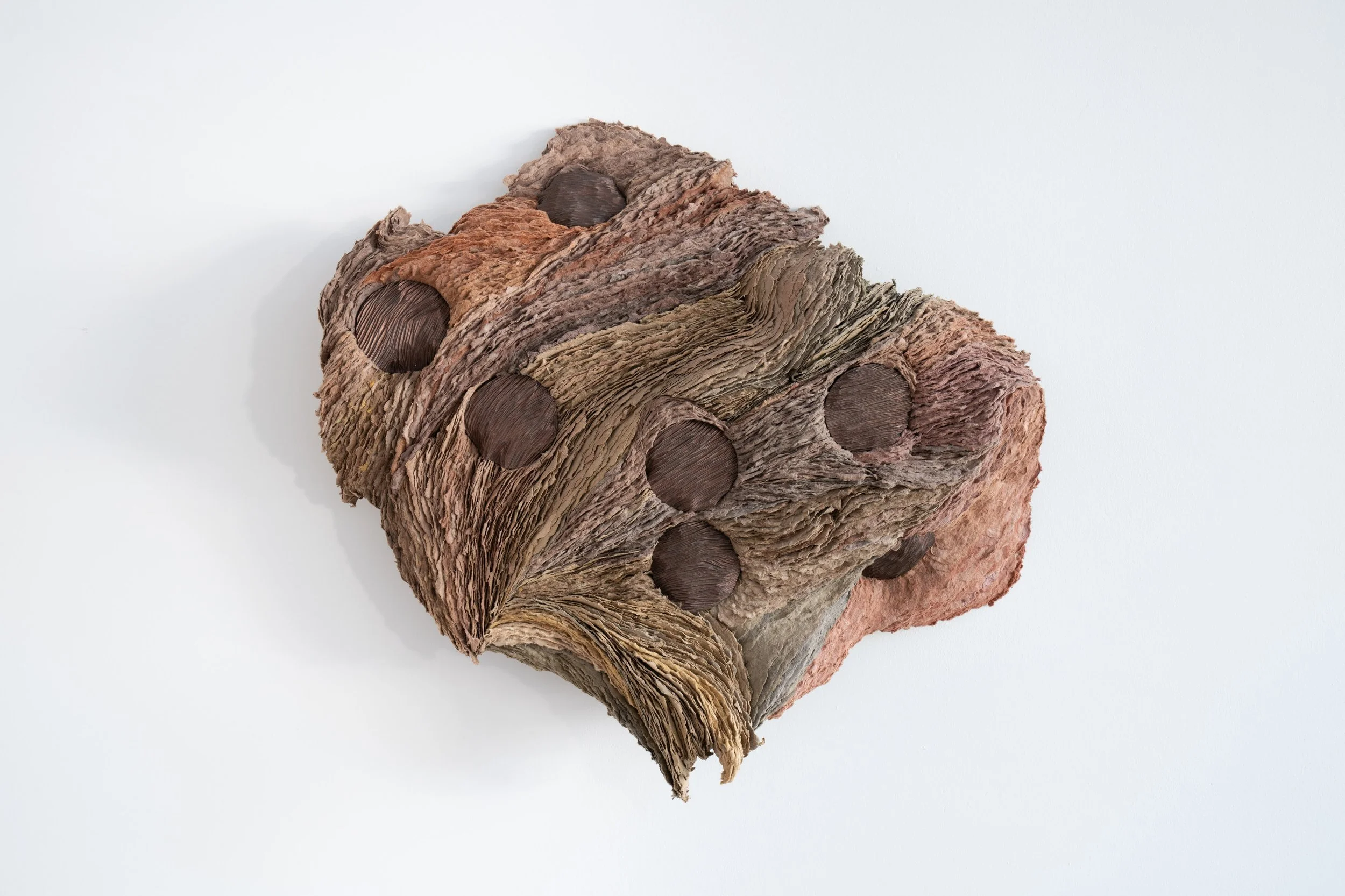 LA_After Staring at the Sun_2024.jpg