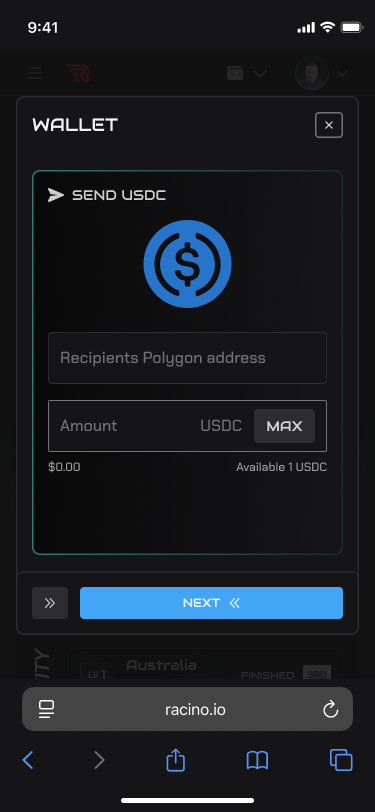 Racino - Wallet2 - Small.png