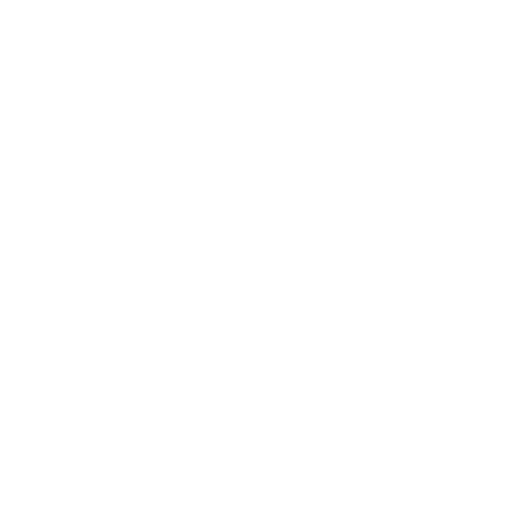Logo - Racino - Working.png