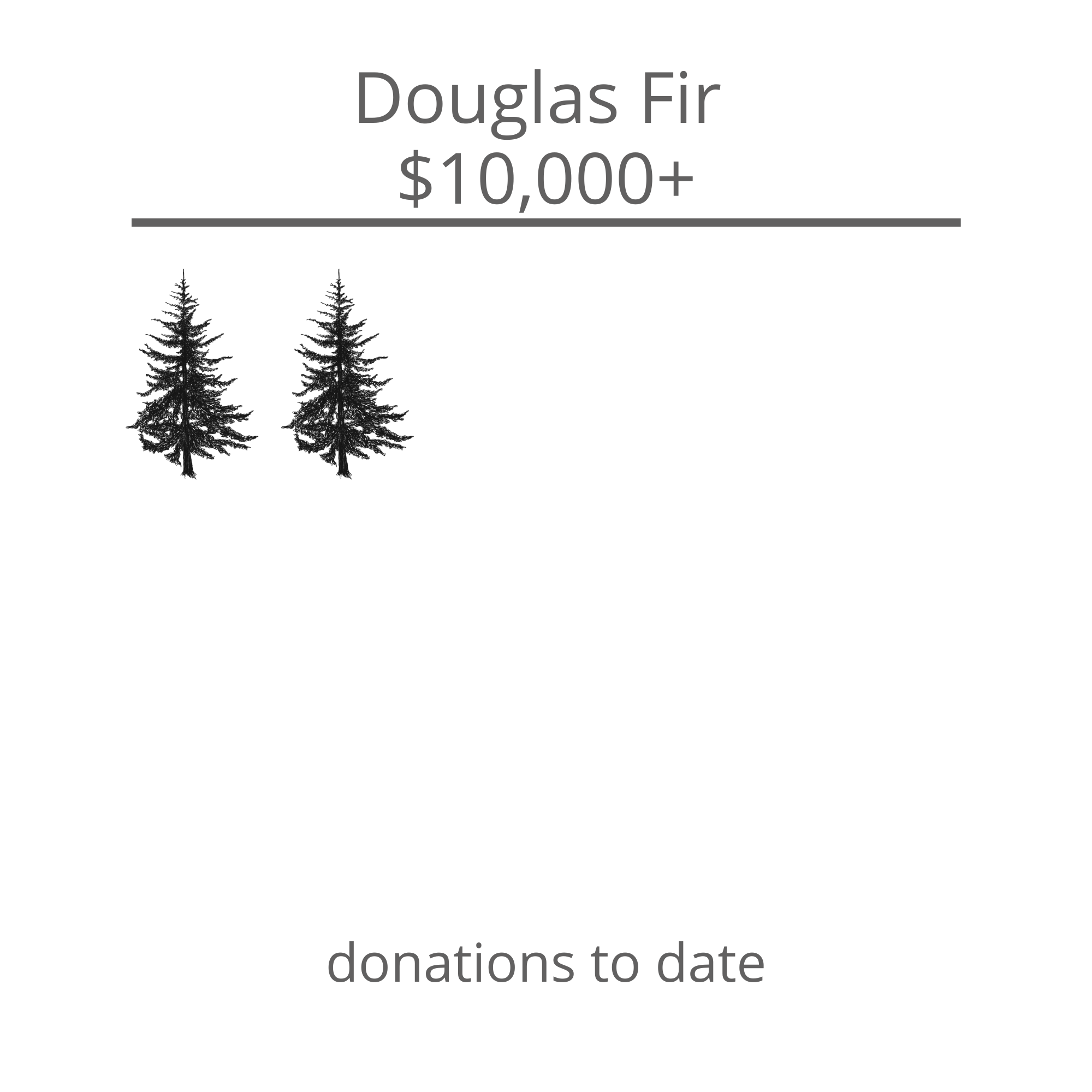 Evergreen Donor Graphics (1).png