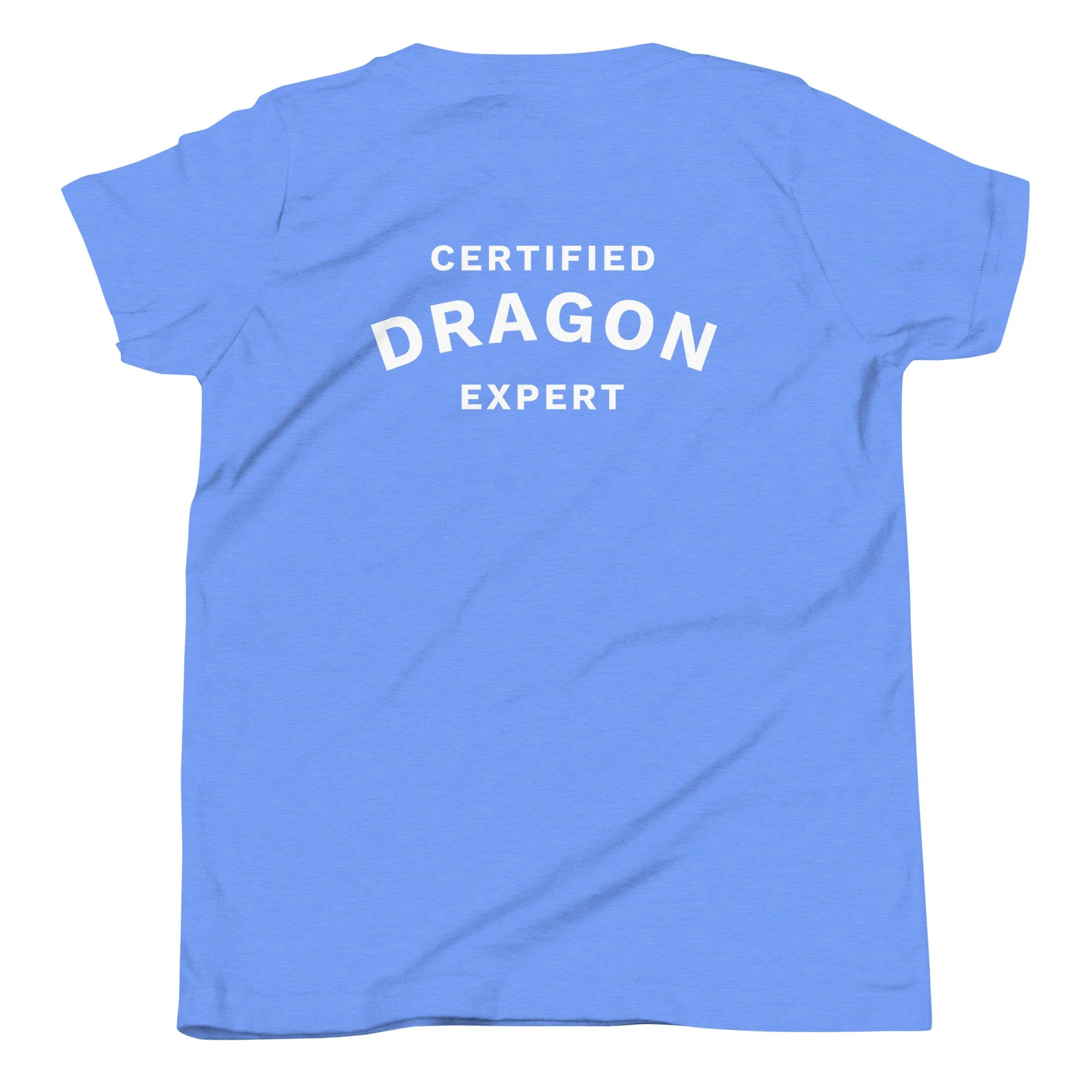 youth-staple-tee-heather-columbia-blue-back-6a29bbd44e97a.jpg