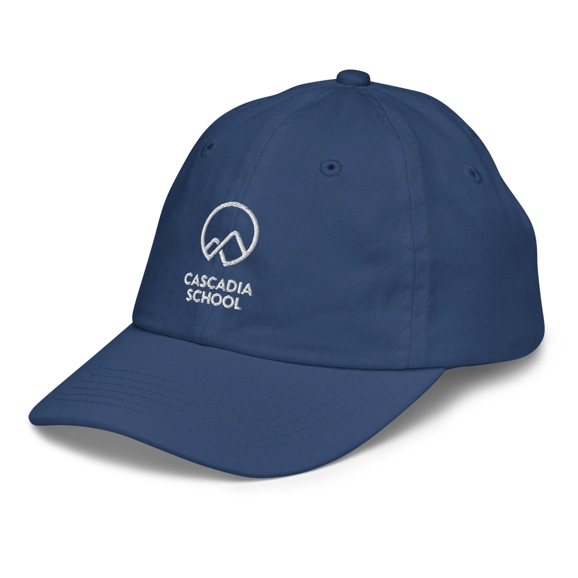youth-baseball-cap-royal-left-front-6a99df3817e59.jpg