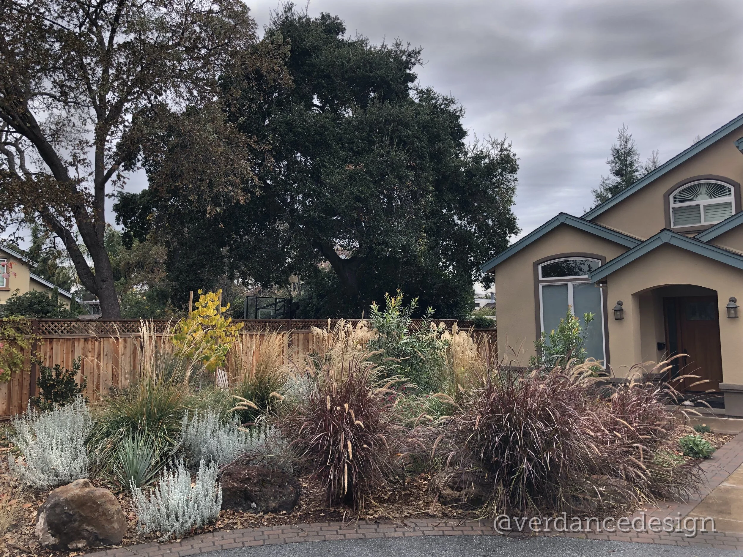 verdance-landscape-architecture-palo-alto-BER-front-2.jpg