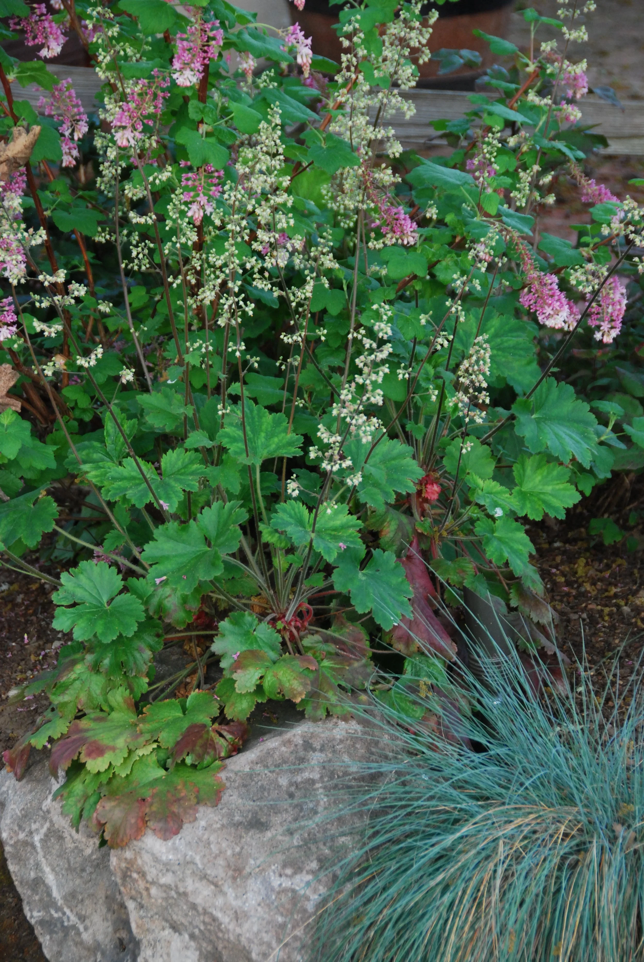 WELO: What Every Architect Should Know (Part 2)