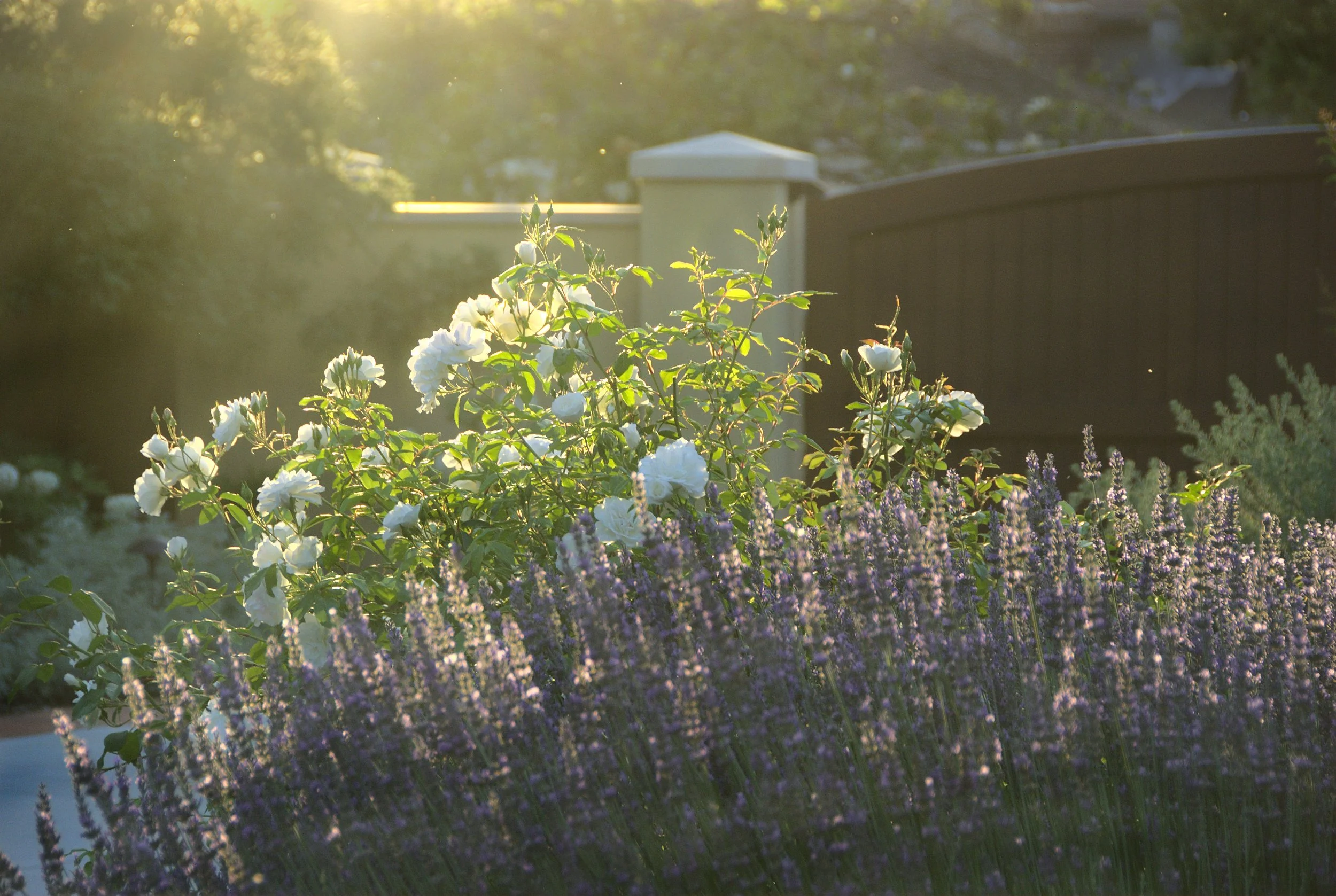 Landscape x Design