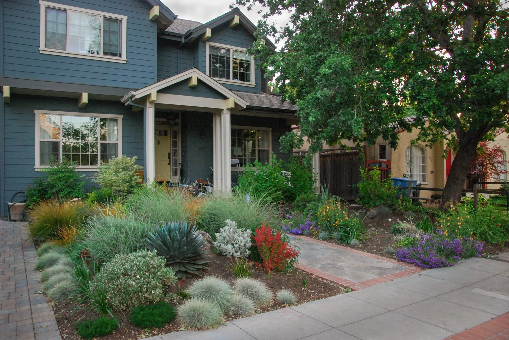 CALIFORNIA CASUAL (PALO ALTO)