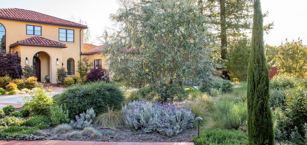 Atherton Landscape Architect_HEN-002.jpg