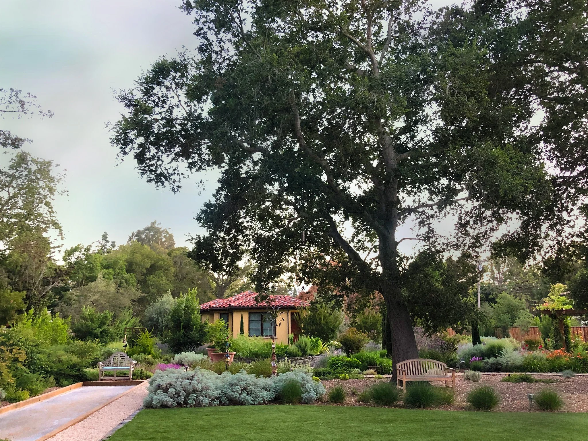 Atherton Landscape Architect_HEN-oaks-southwest-2048.jpg