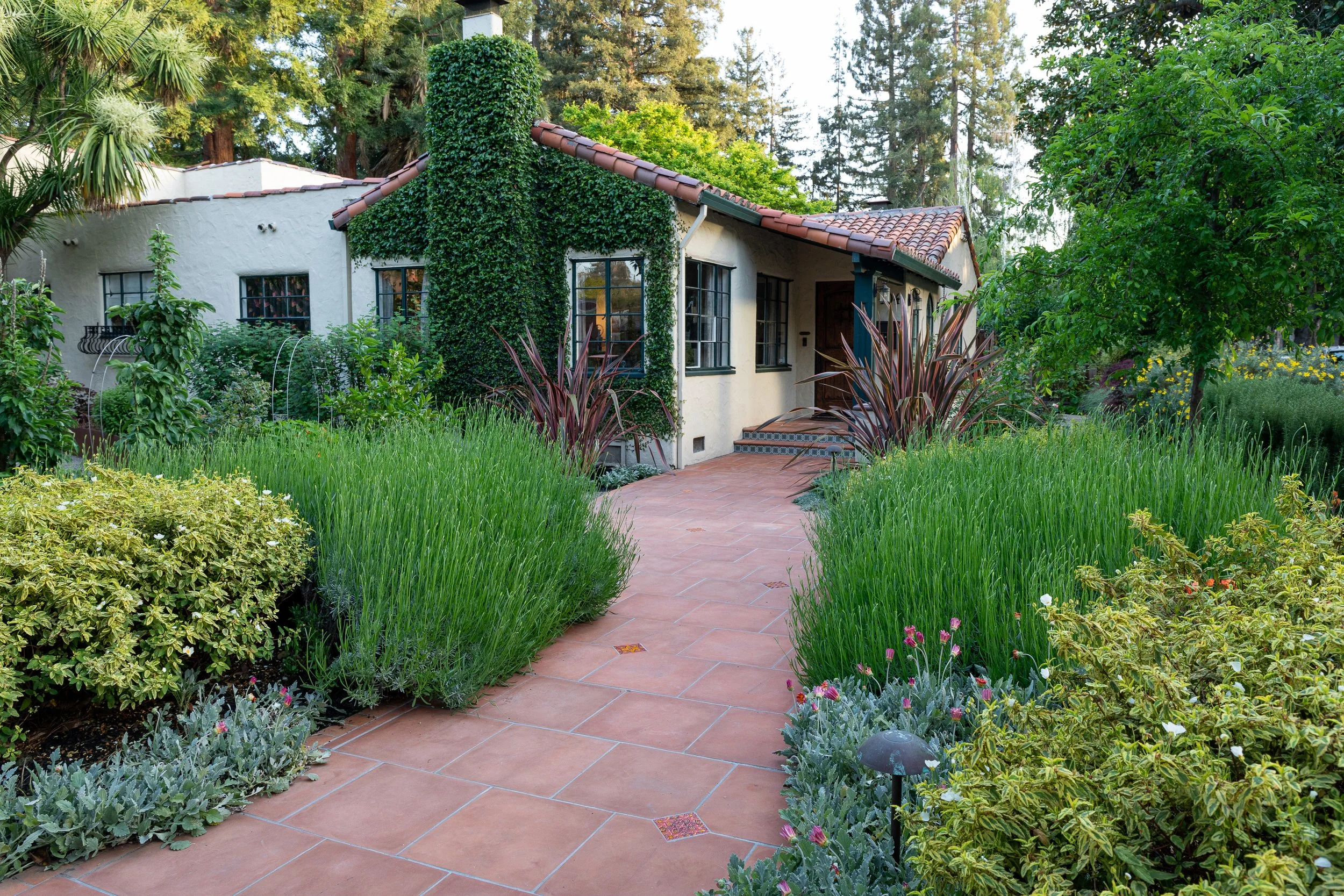 Palo Alto Landscape Architect_BIE-7108.jpg