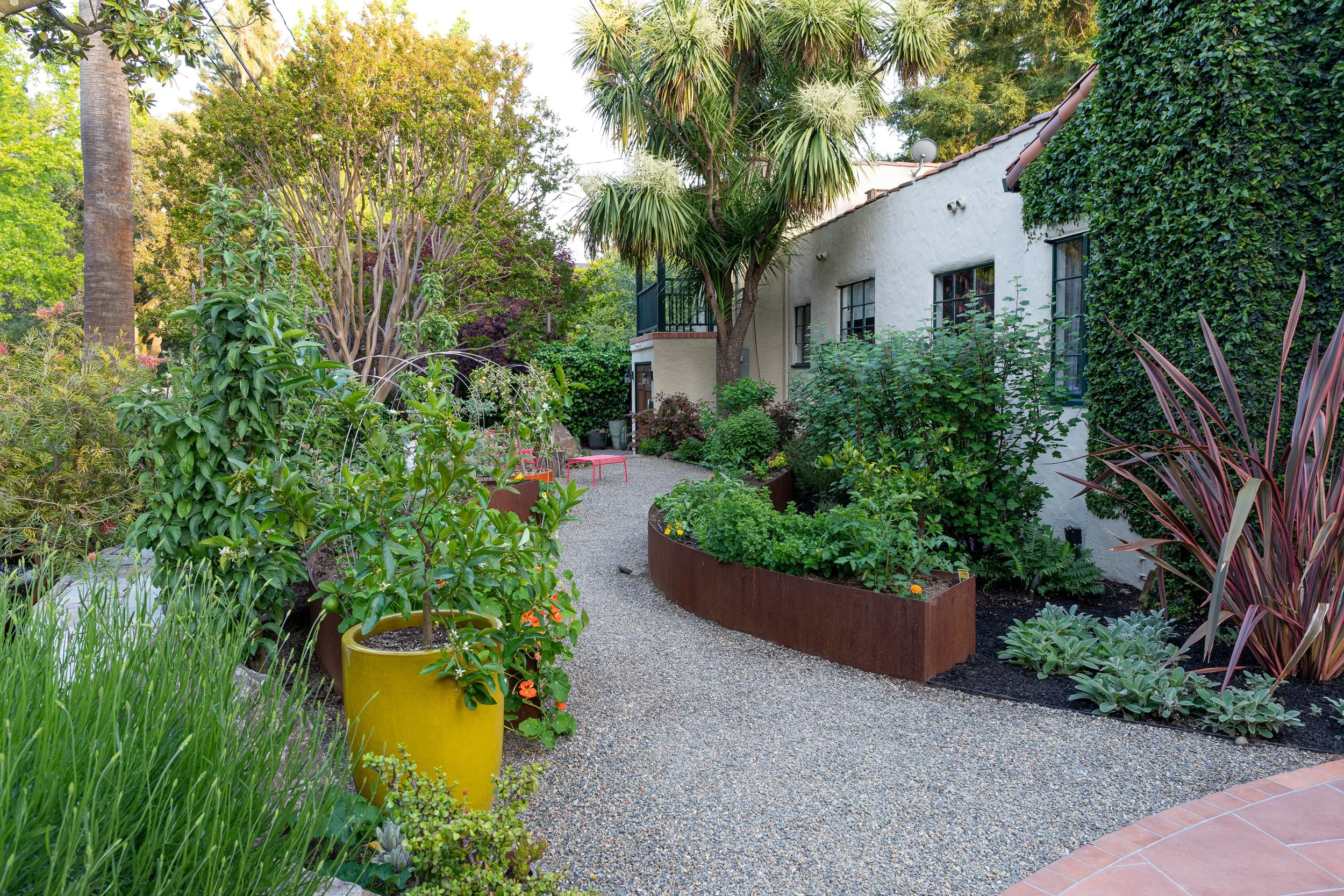 Palo Alto Landscape Architect_BIE-7119.jpg