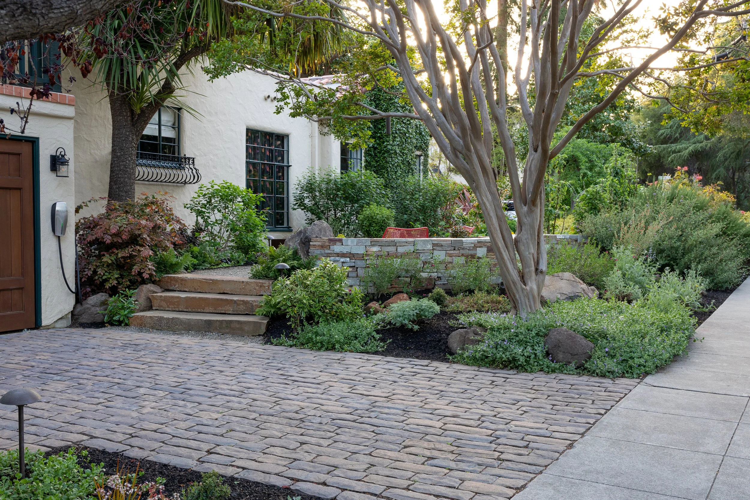 Palo Alto Landscape Architect_BIE-7105.jpg