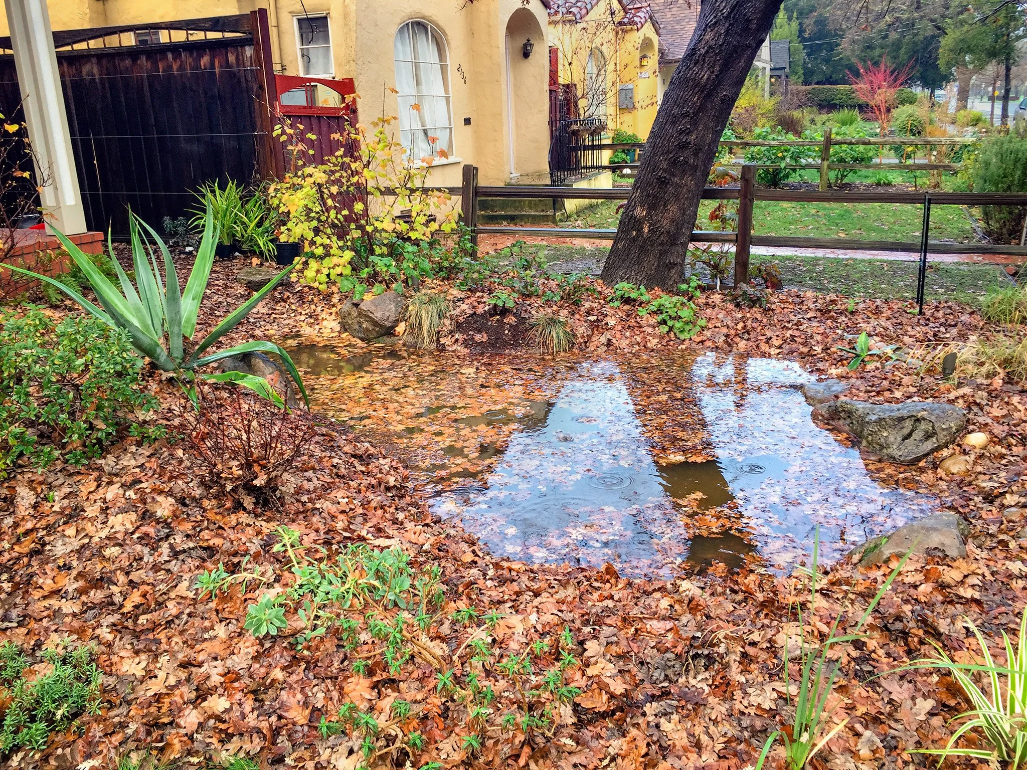 Infiltration Basin (after)-rt-2048.jpg
