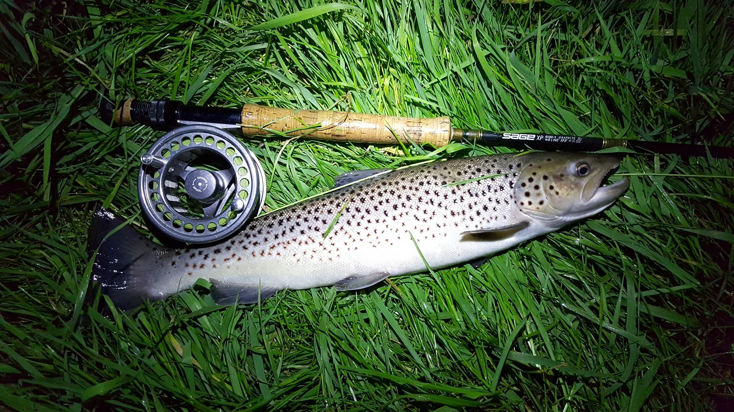 Rusty-hooks7.jpg