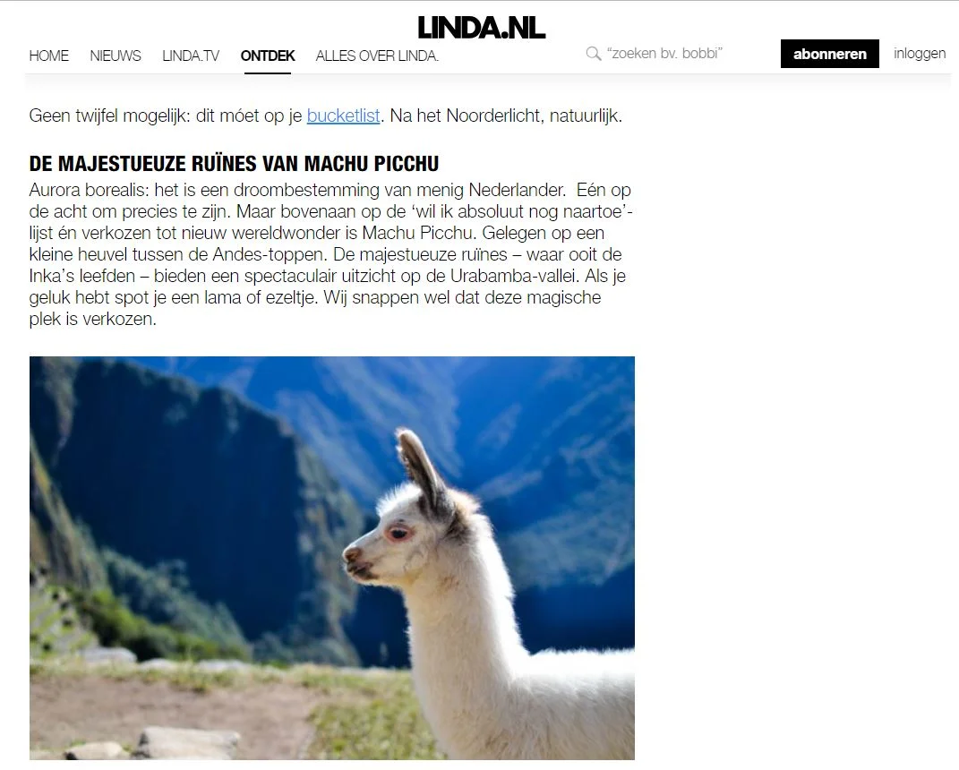 Linda.nl llama.JPG