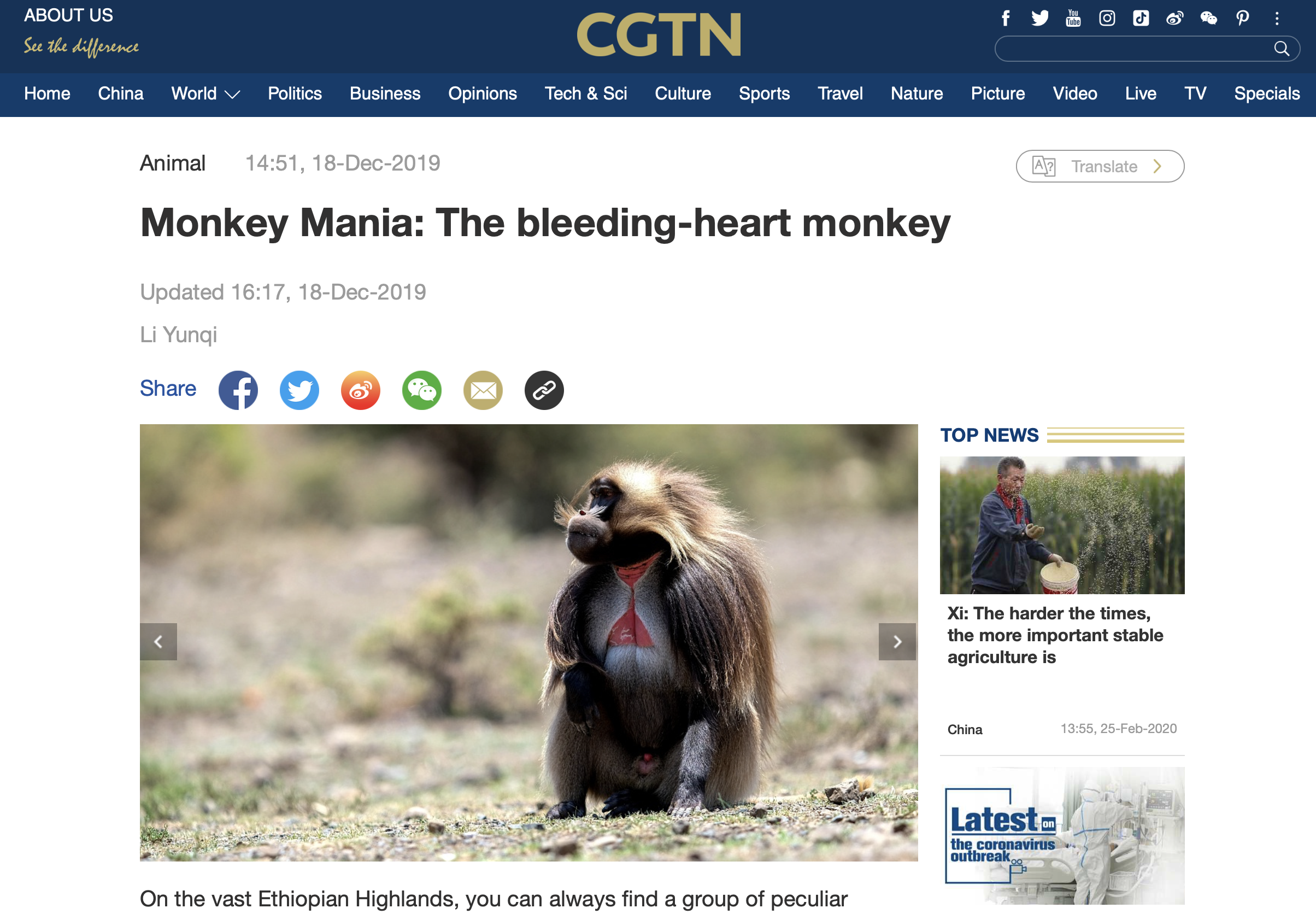 Screenshot 2020-02-26 at 17.01.31.png