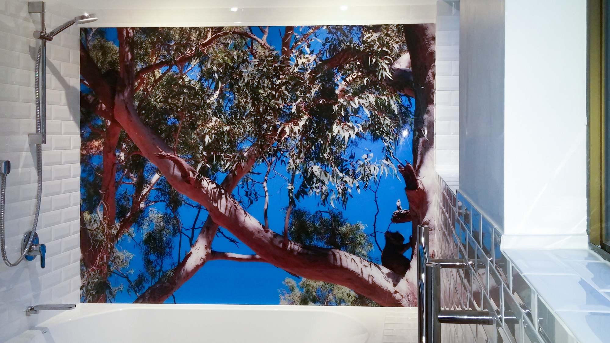 Gumtrees and koala printc.jpg