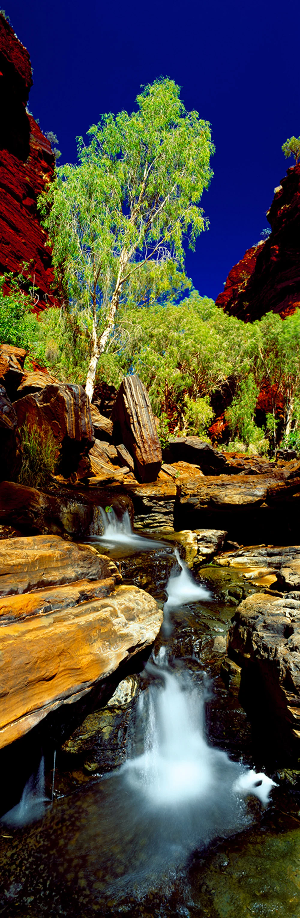 Signature Image Range — Printed Splashbacks