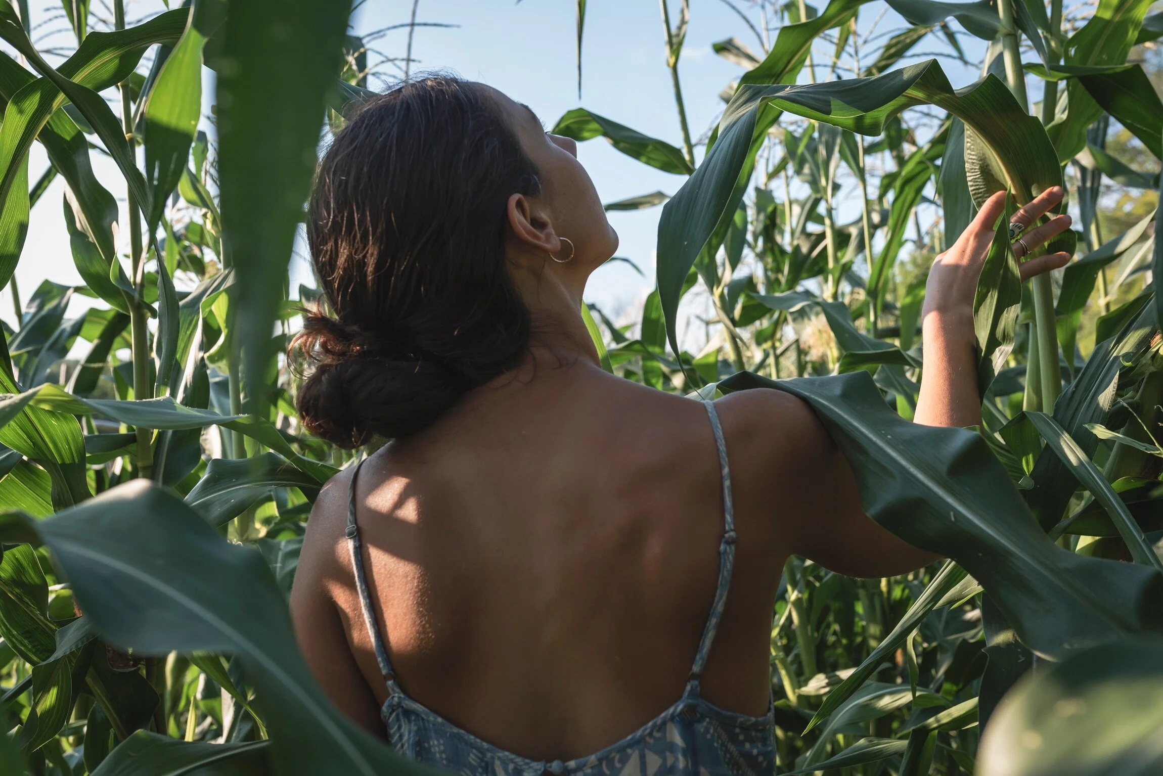 Calorie Crops - Fall 2026