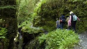 lydford gorge.jpg