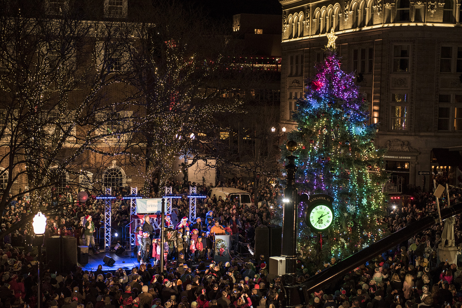 Copy of 2017_Christmastree_lighting039.jpg