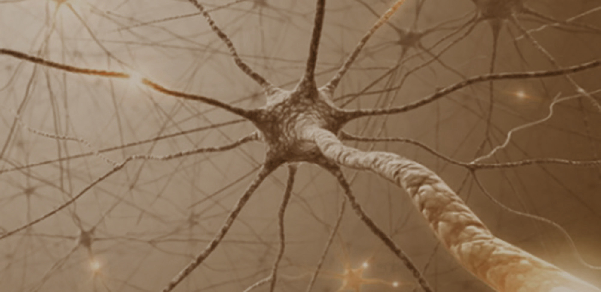 Syntropy_Synapses_BG_2017_2.jpg