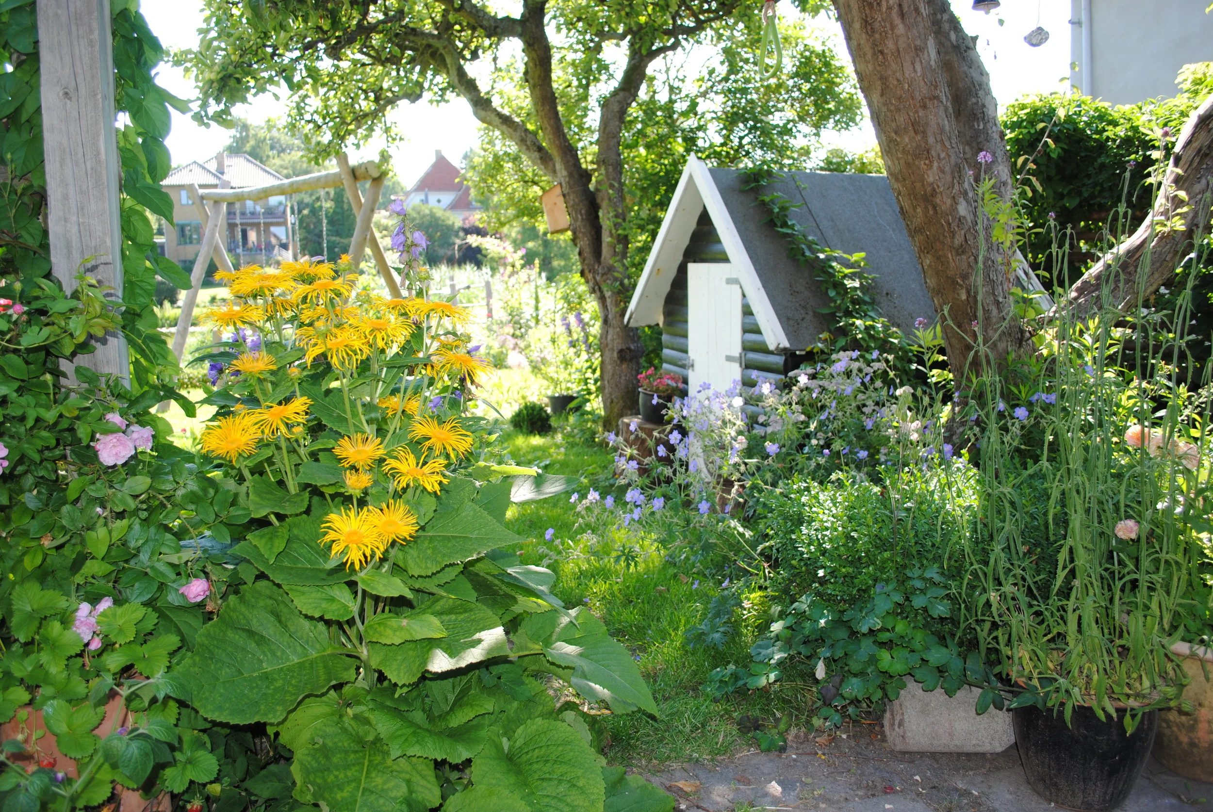 Noget om en fødselsdagsgave 
