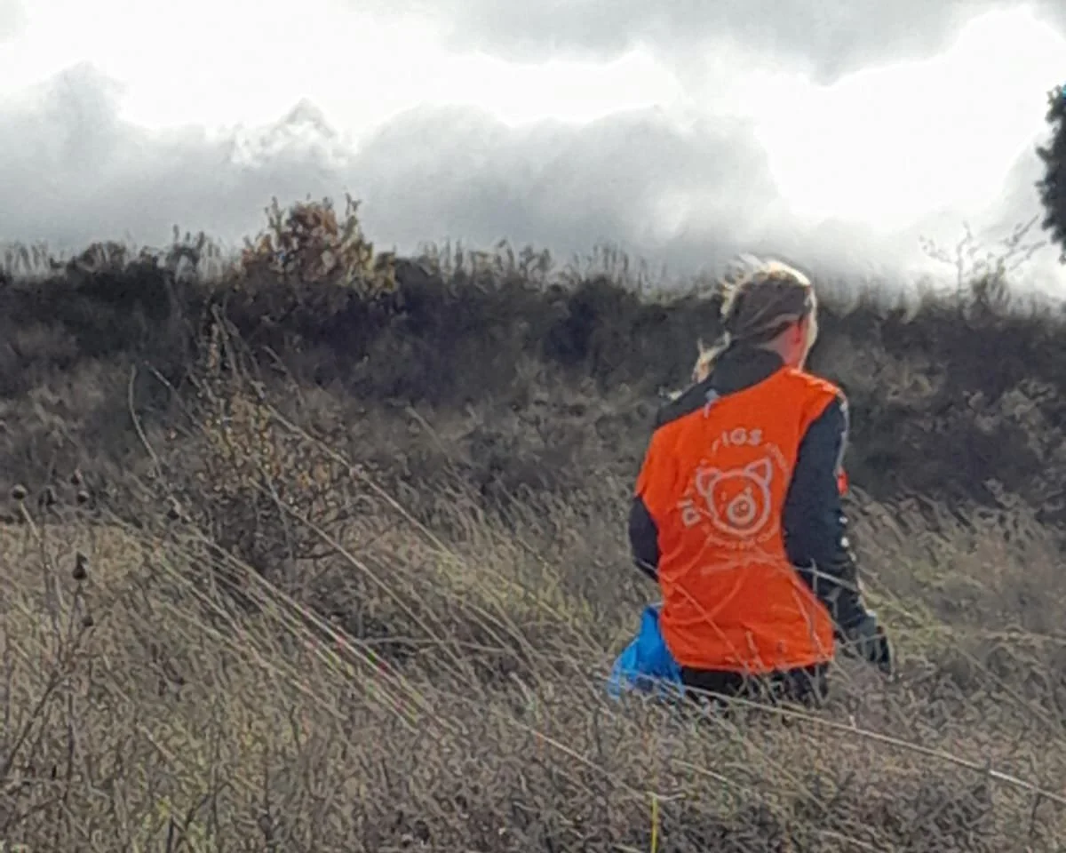 Camino Cleanup / November 2022