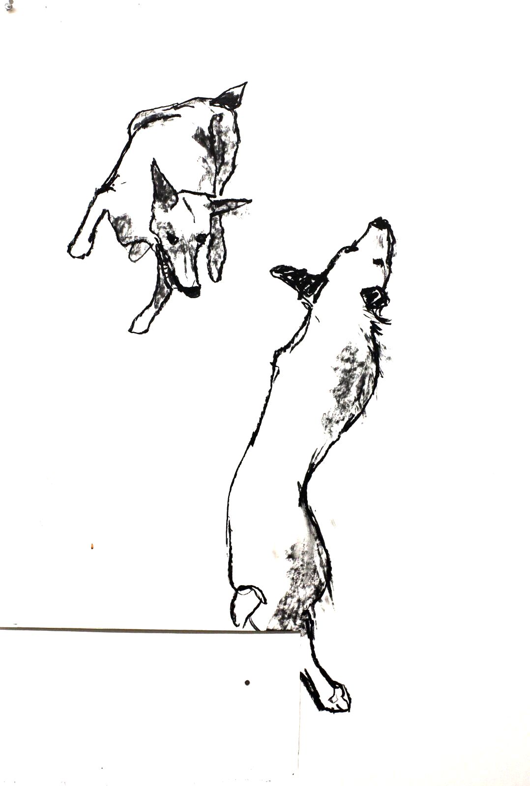 2 Dogs, 2018