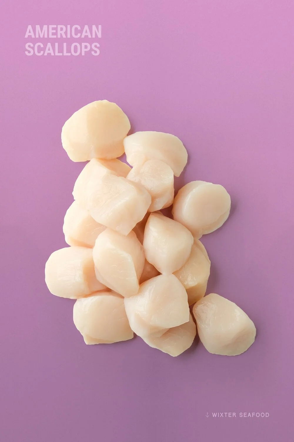 Wixter+Seafood+Frozen_Product+Vertical_Scallops_v6.jpg