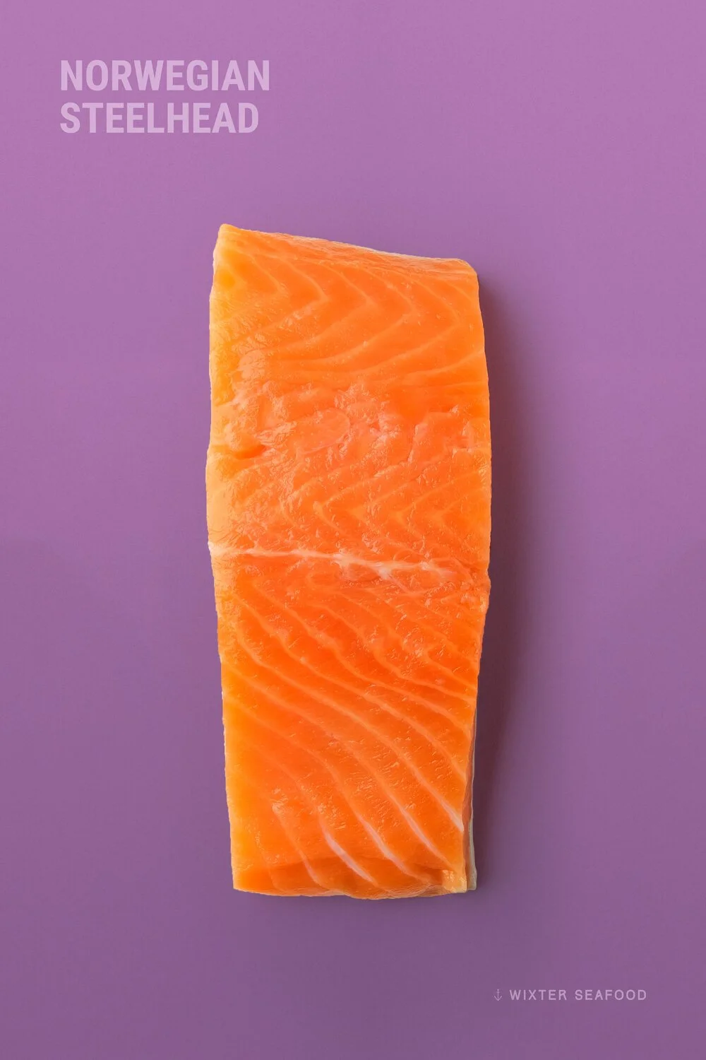 Wixter+Seafood+Frozen_Product+Vertical_Steelhead_v6.jpg