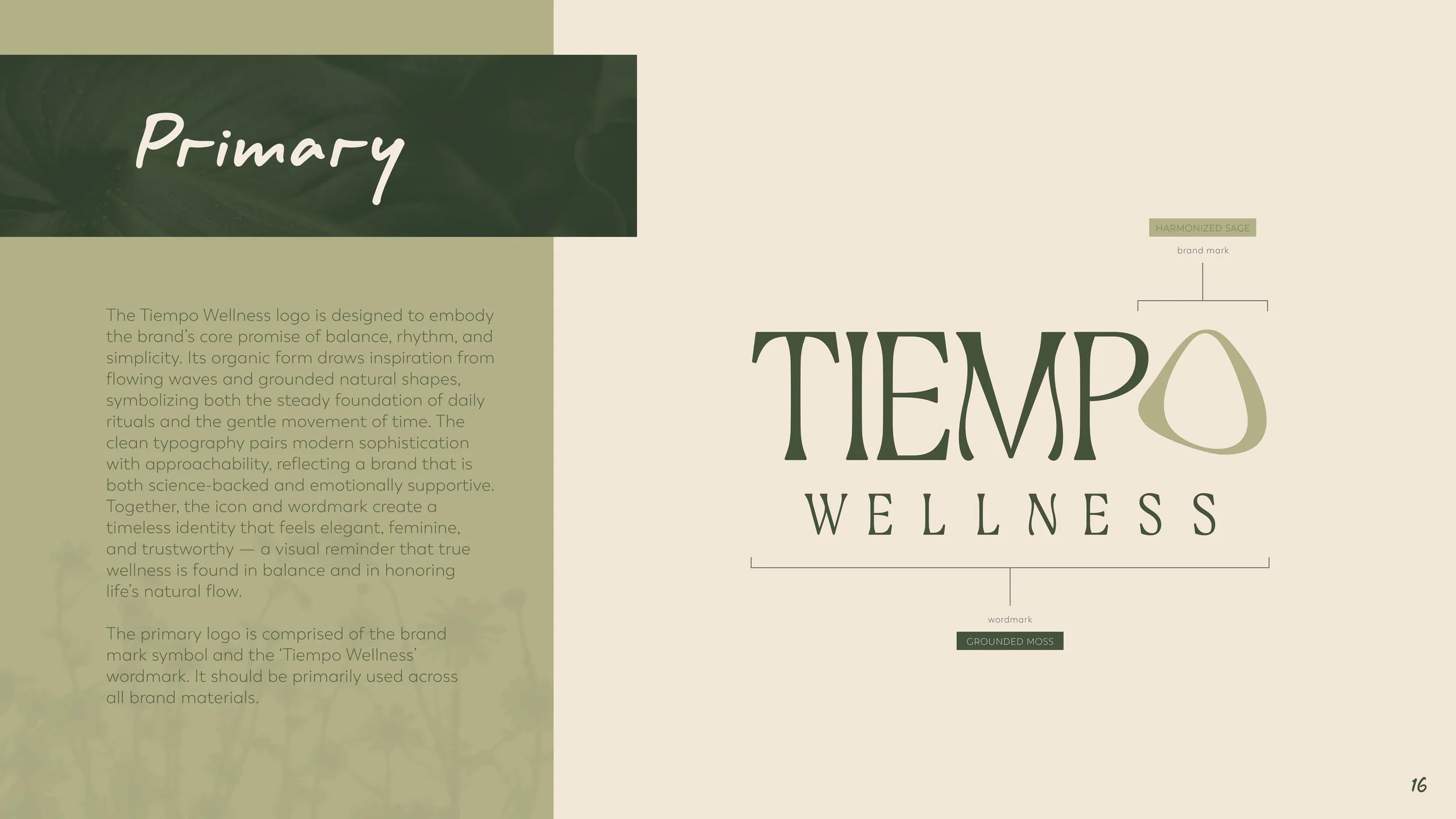 TW_BrandGuidelines_FINAL16.jpg