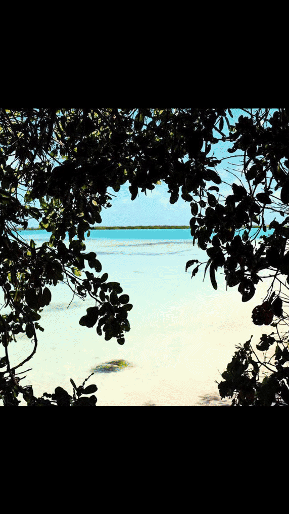 2-PhotoJam_Story1-2revised (1).gif