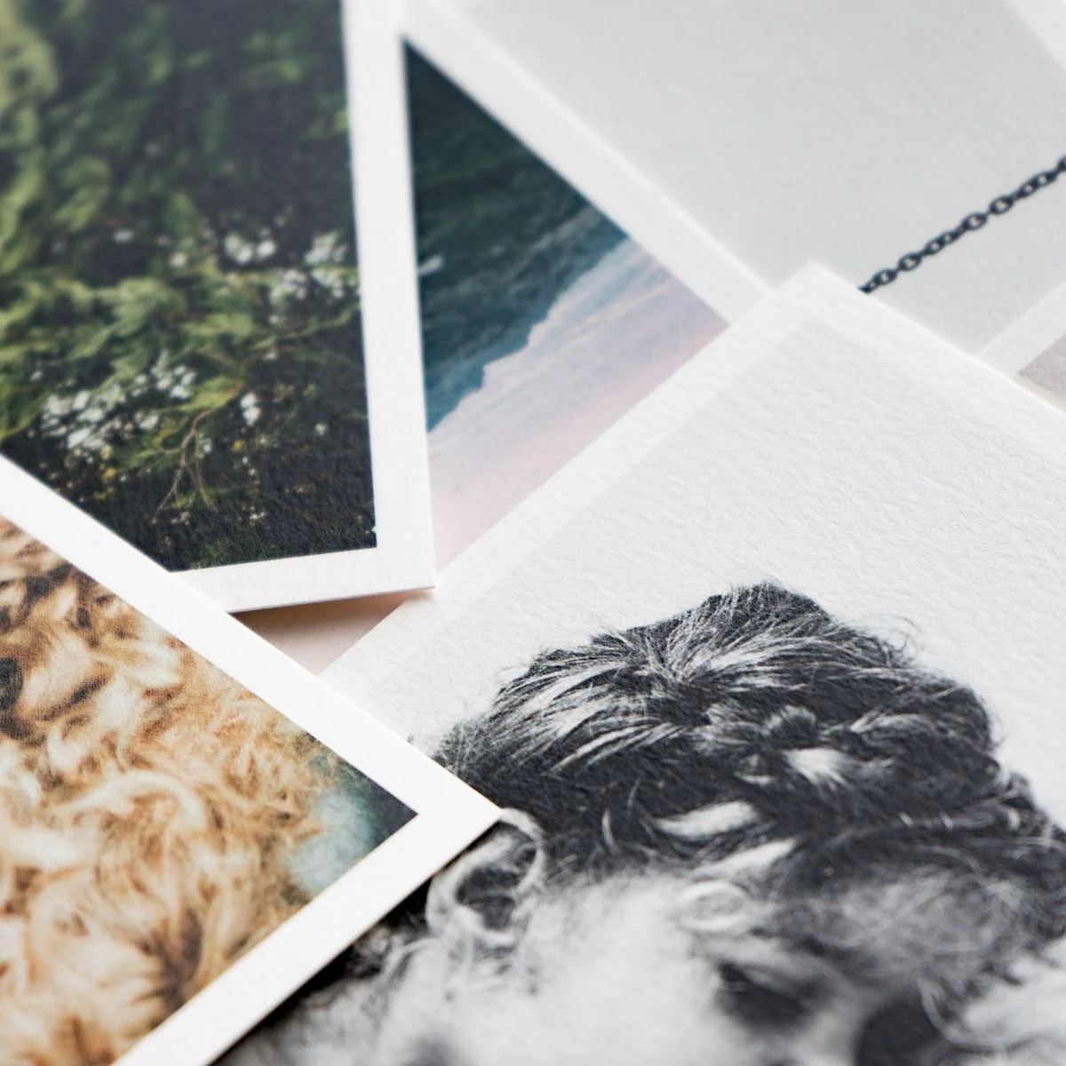 square-print-set-paper-detail-main05_2x.jpg