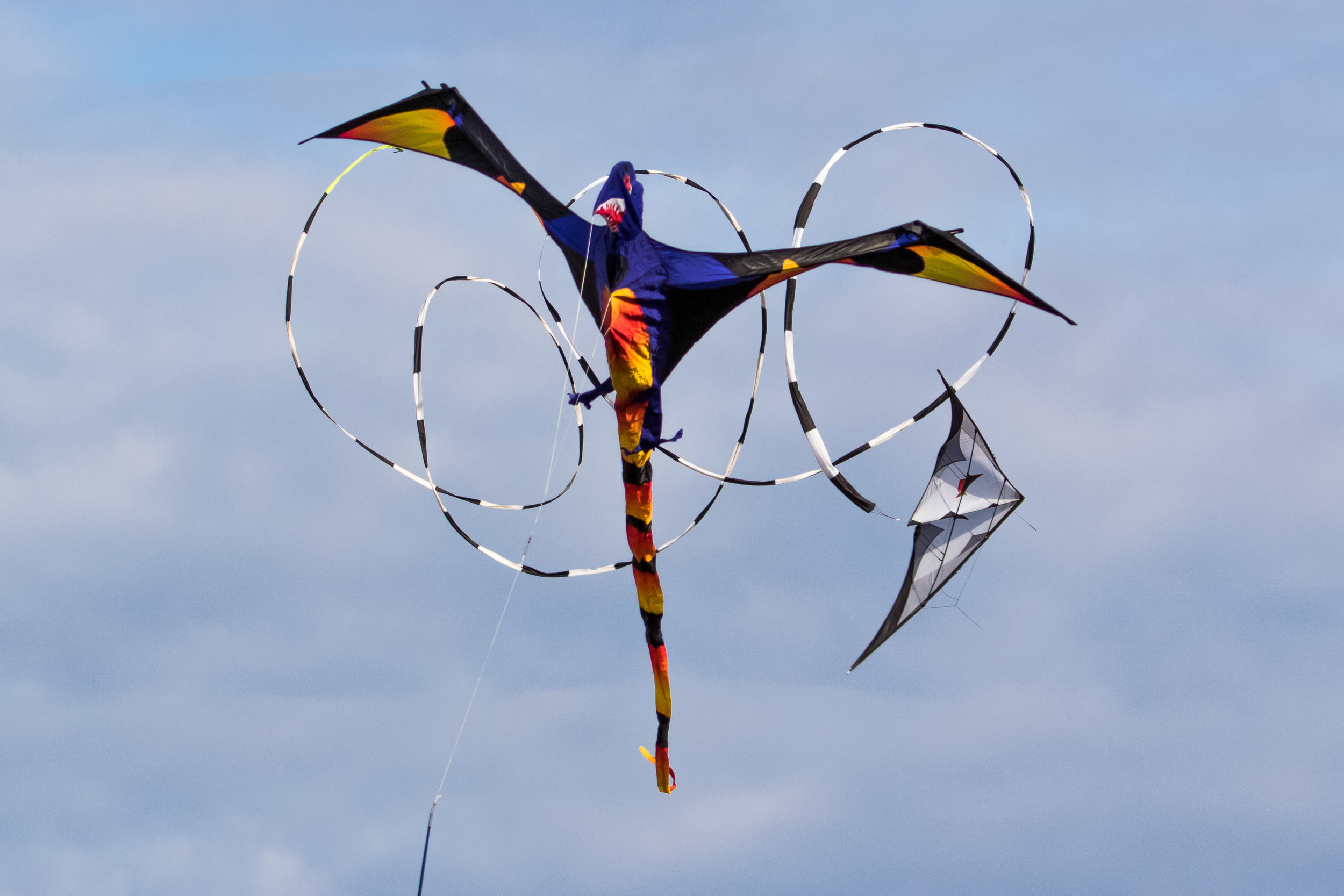 Kites.  Edmonds, WA