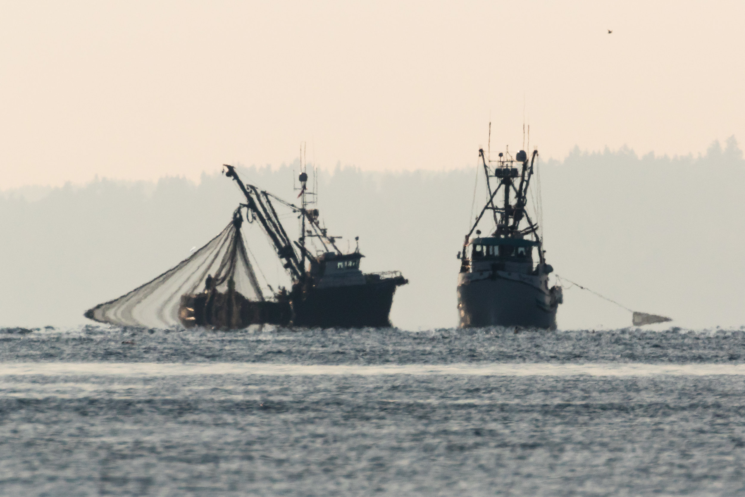 Hazy Commercial Fishing Vessels.  Puget Sound, WA
