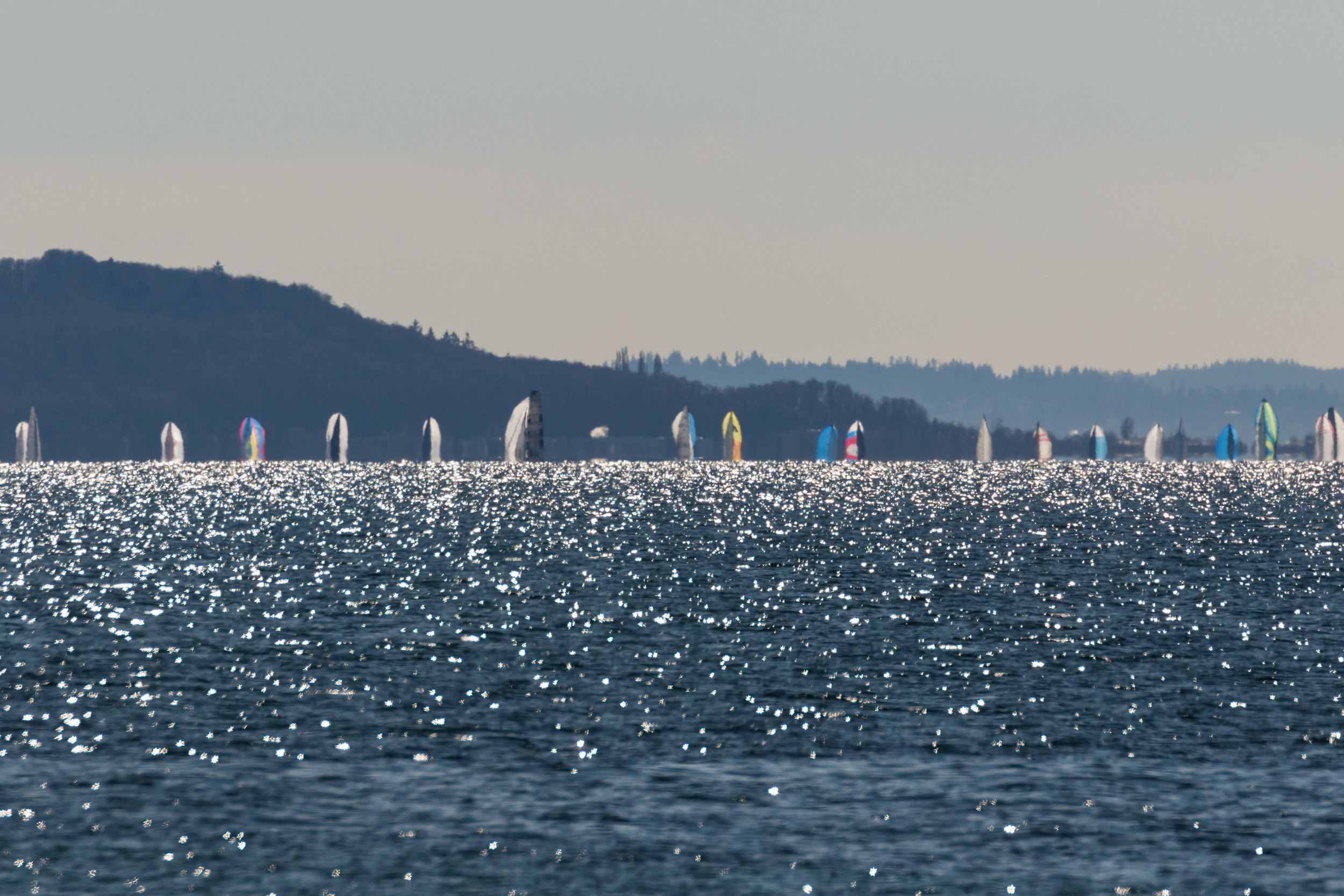 Sailboats in Puget Sound