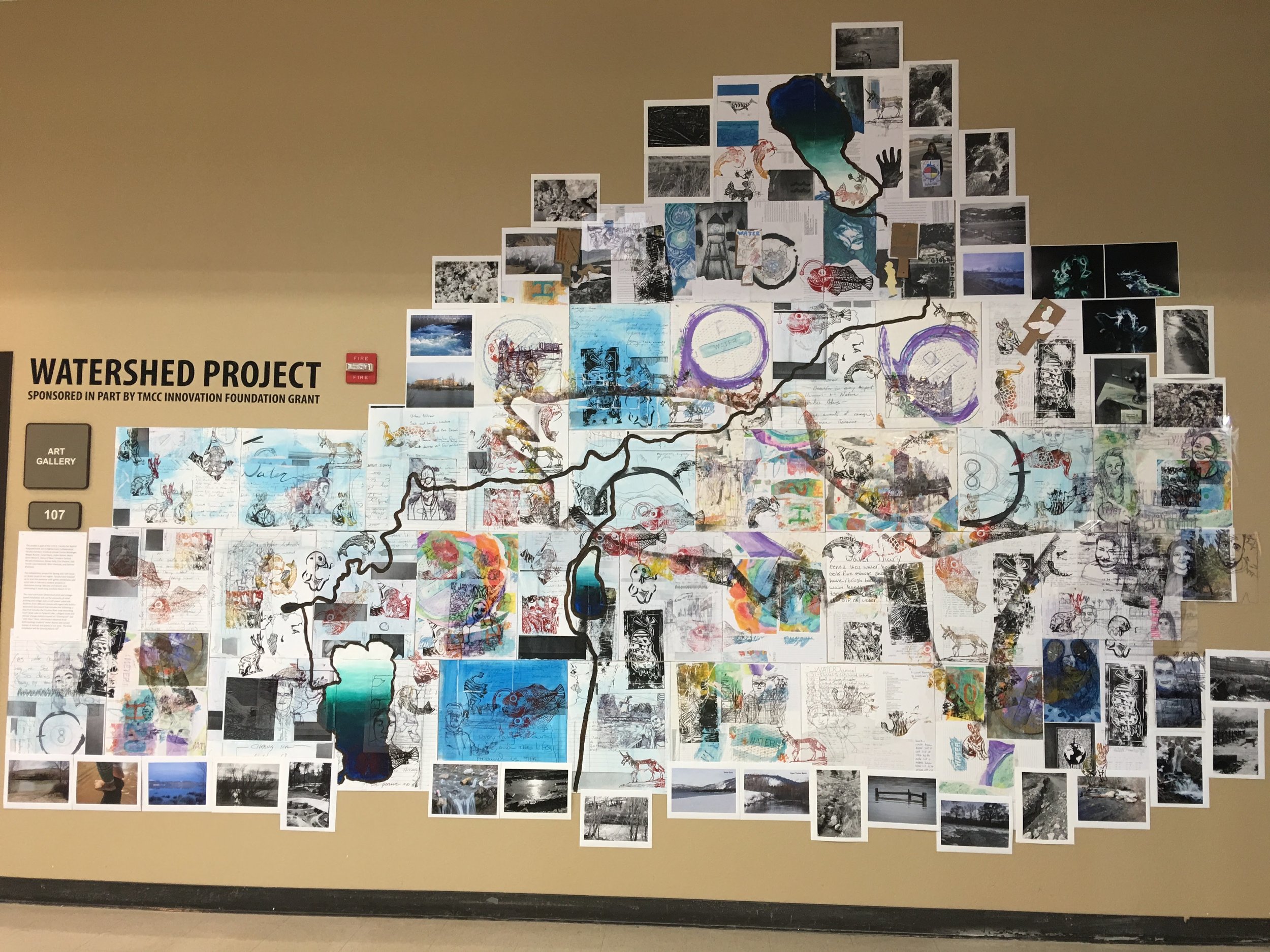 Watershed Project 2017 (4).jpg