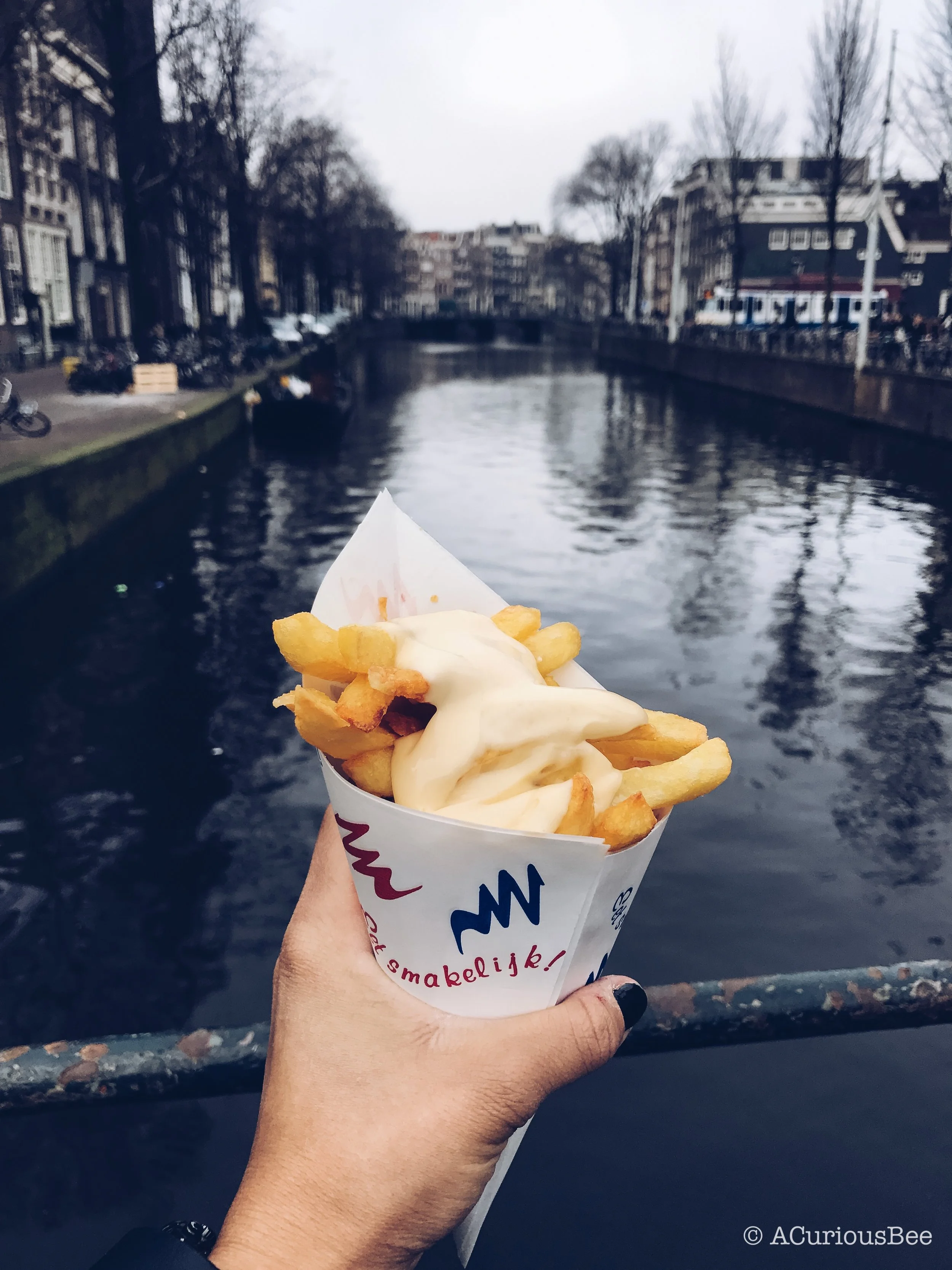 The City Of Freedom: Amsterdam