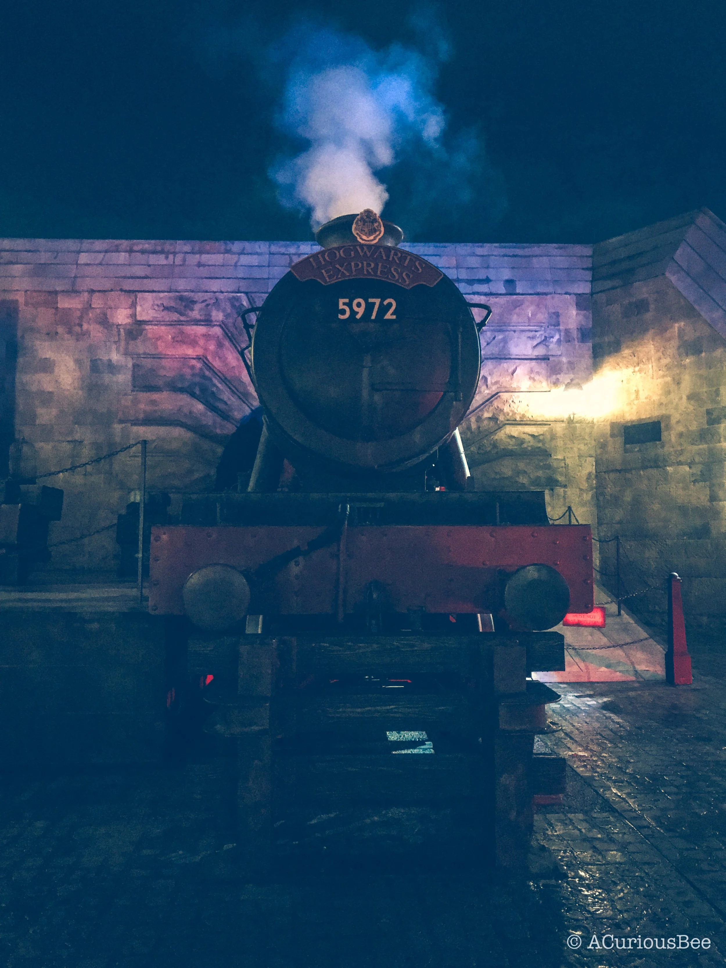 You've Been To Harry Potter World How Many Times??