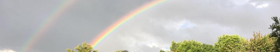 Lily+rainbow+farm.jpg