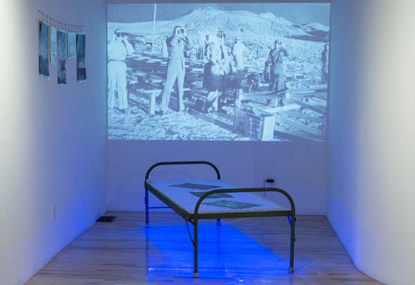 TOURISTS OF THE NEW SUBLIME / Curator: Scotti Hill