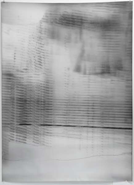 AMY THEISS GIESE / Concealed At First, At Last I Appear