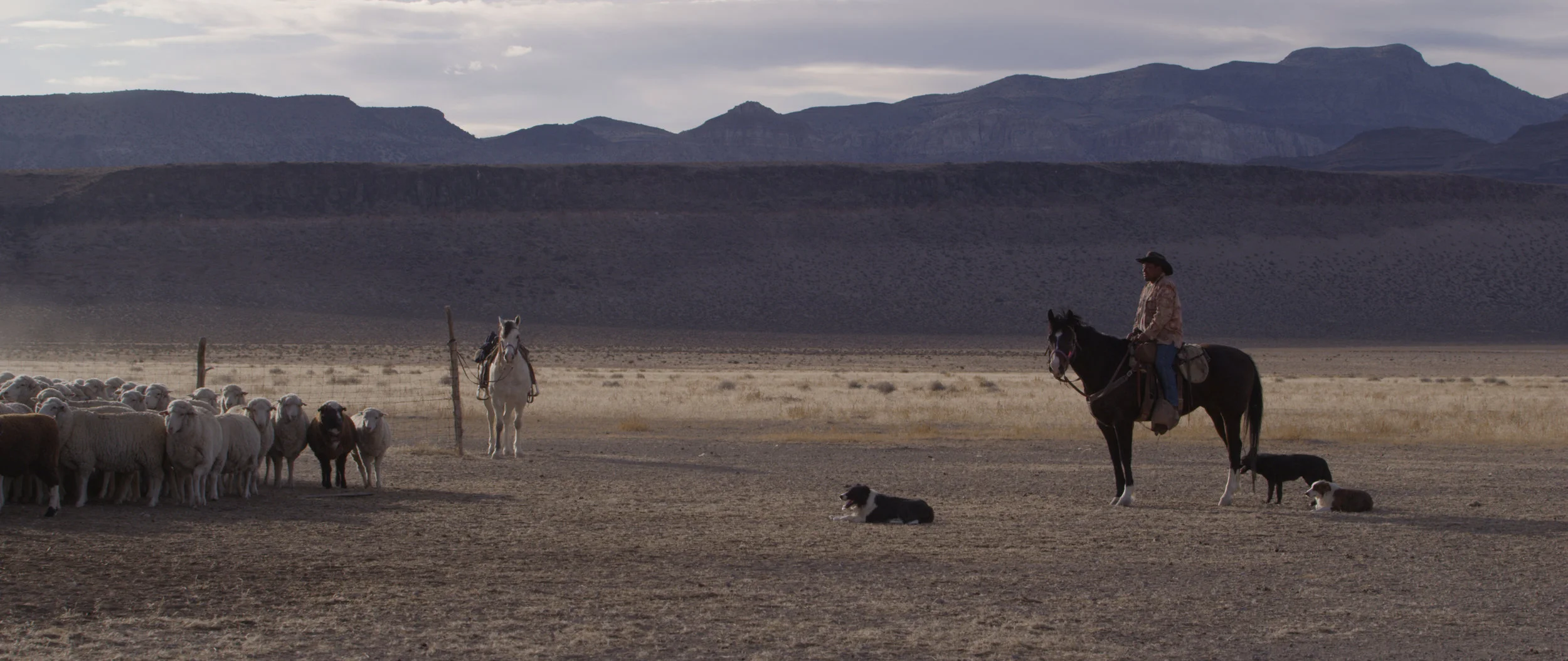 Film Feast: El Desierto &amp; La Sabana / Carly &amp; Jared Jakins
