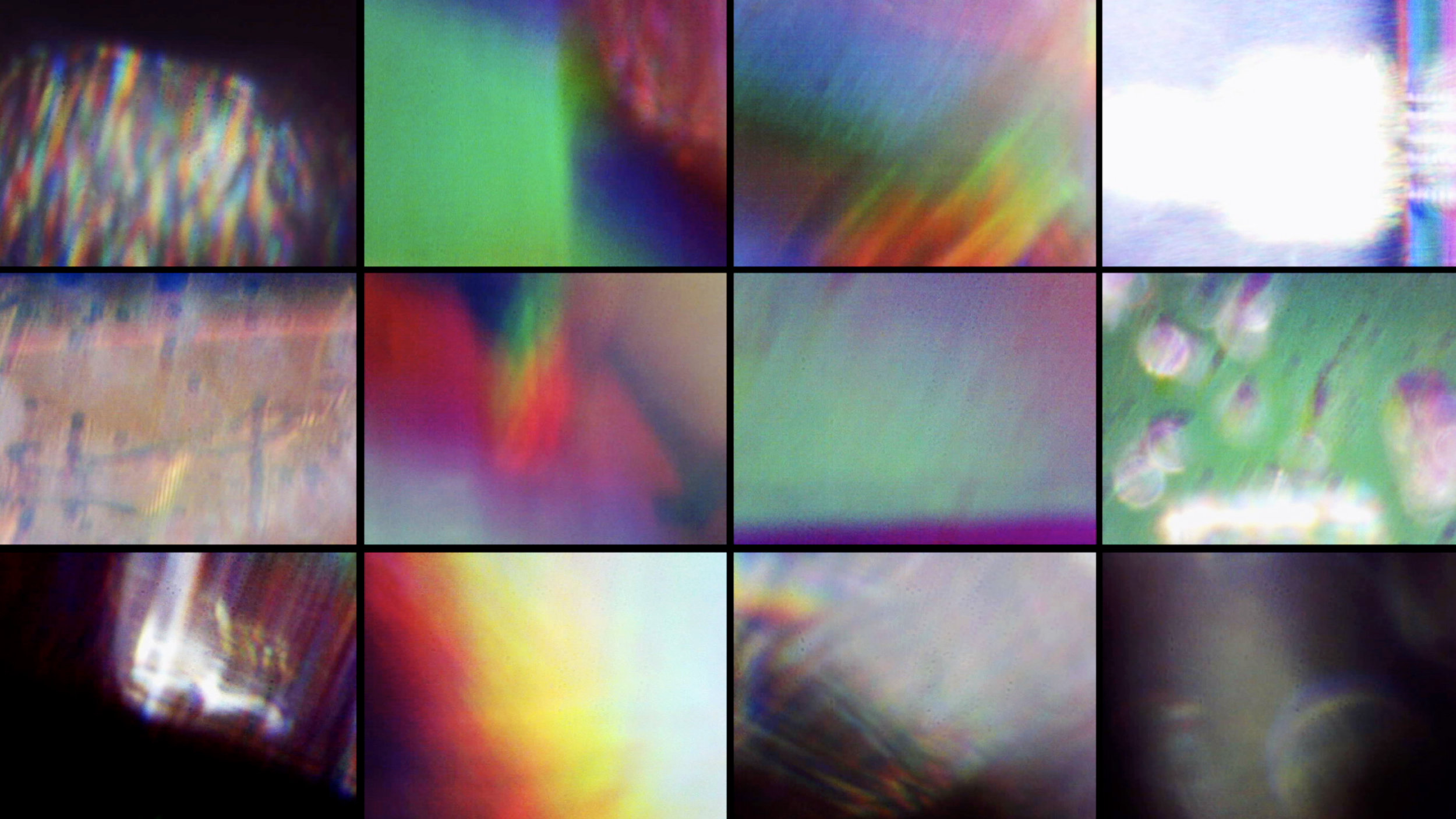 Lisa McCarty  / Reception